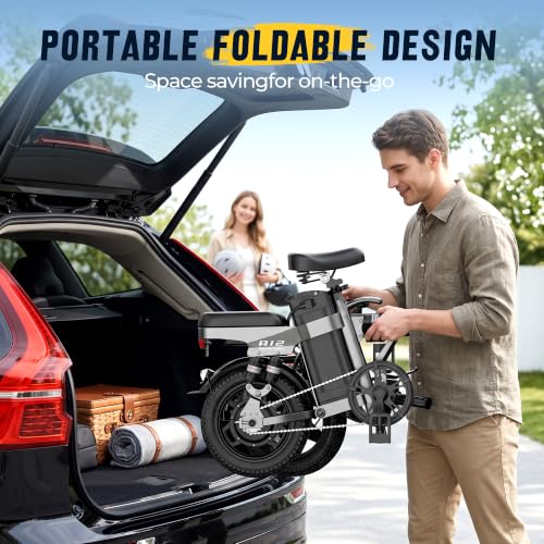 DTTZH Foldable Ebike 52V