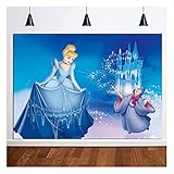 Grehge hy Backdrop Blue and Silver Castle Winter Princess