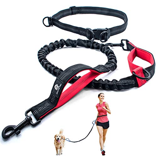 Best Waist Dog Leashes Enjoy a HandsFree Walk with your Furry Friend!