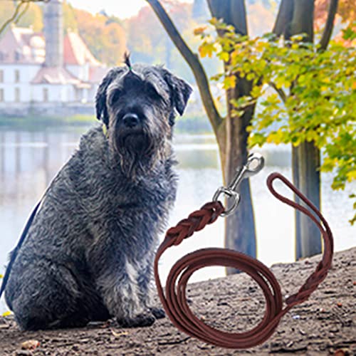 1.6m Fettlederleine Hund, Dunkelbraun Rindsleder Hundeleine Leder, Geflochtene Lederleine Hund für Große Mittelgroße Hunde, Outdoor Gehen Training