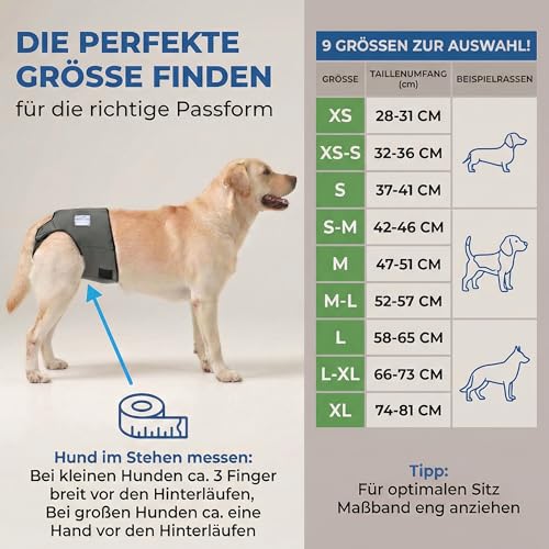 Nature Pet Hunde-Läufigkeitshose für Hündinnen - Hundewindel für Rüden - Kein lästiges Einfädeln der Rute - Inkontinenz Hundehöschen - (XS-L Schwarz)