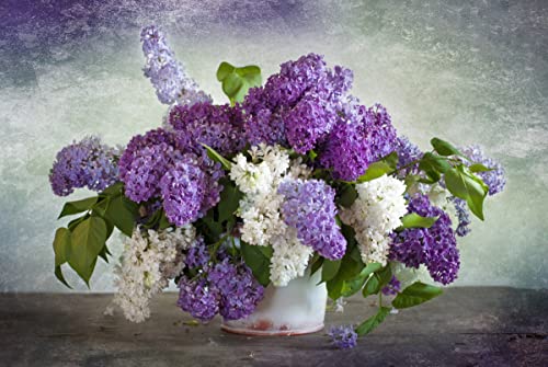 Notswoh-Mixed Lilac Seeds Fragrant Hardy Perennial Flower (50 Seedspack) #TOP4