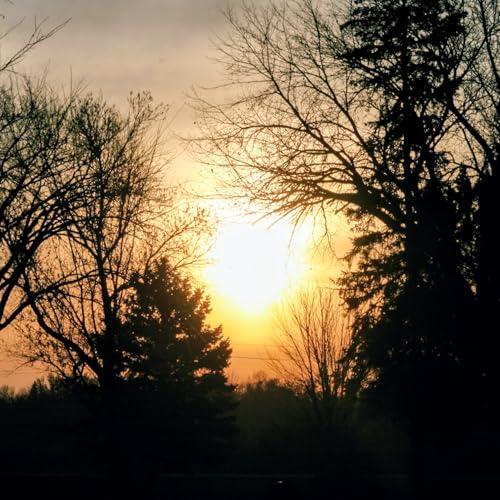 SURVIVING THE STORMS