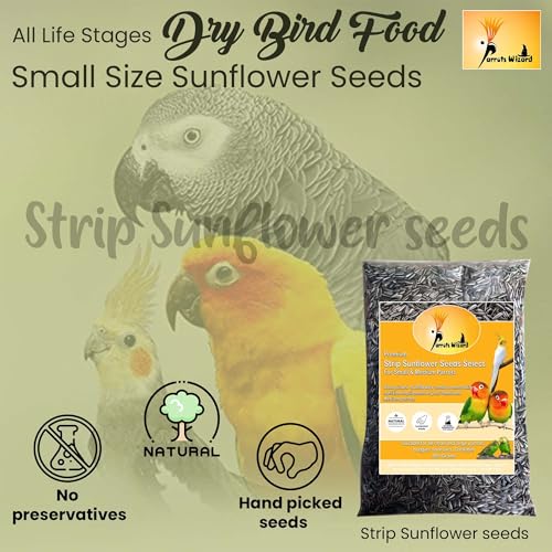 Parrots-Wizard-All-Life-Stages-Dry-Bird-Food-Small-Size-Sunflower-Seeds-for-Bird-900-GPack-of-1