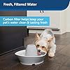 PetSafe-Drinkwell-Replacement-Carbon-Filters-Dog-and-Cat-Ceramic-and-2-Gallon-Water-Fountain-Filters-4-Pack Replacement Carbon Filters for Pet Fountain