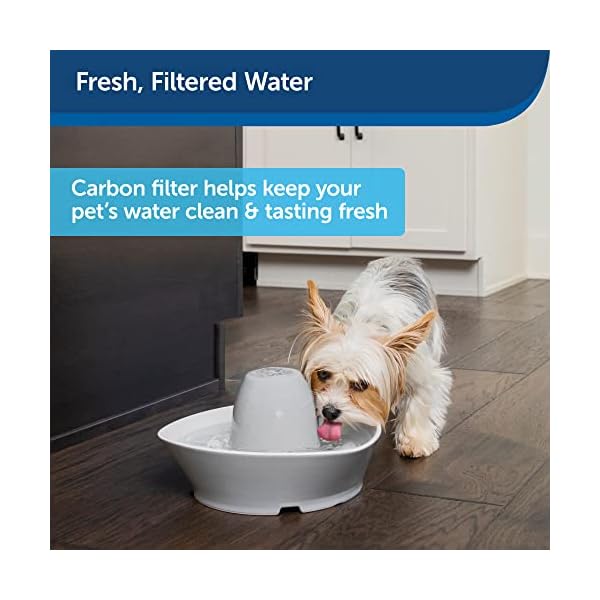 PetSafe-Drinkwell-Replacement-Carbon-Filters-Dog-and-Cat-Ceramic-and-2-Gallon-Water-Fountain-Filters-4-Pack Replacement Carbon Filters for Pet Fountain