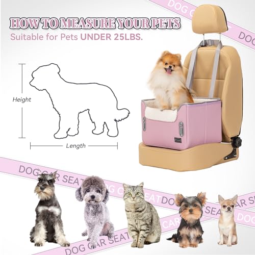 Koera autoistmekate – tugev, pestav (Petsfit)