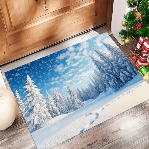 Felpudo Entrada Casa, Jungla Nevada Alfombra Entrada Casa Interior Antideslizante, Almohadilla Absorbente Y Duradera, Azul Cielo Lavable En La Lavadora (Paisaje Natural Invernal, 45 X 75 Cm)