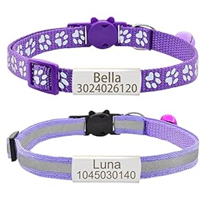 Personalized 2 Pack Reflective Cat Collar,Custom Breakaway Cat Collars with Name Tag and Bell,Anti-Lost Nameplate Cat Collar for Girls & Boys (Purple,fit 8”-11.0”)