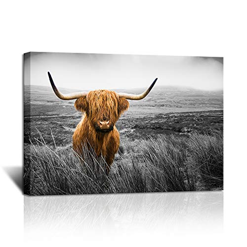 Klvos Texas Longhorn Wall Art Black And White Farm Animal Highland Cattle Canvas Picture Farmhouse Prints Photo Paintings Modern Home Decoration Giclee Artwork Wood Frame Gallery Wrapped 24X36Inch #TOP16
