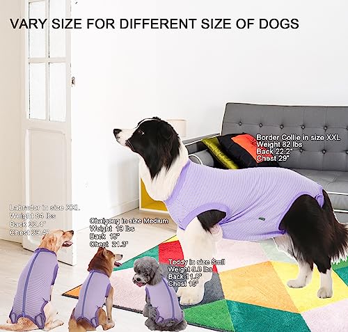 Traje de recuperación para perro talla XS morado a rayas miniatura 2