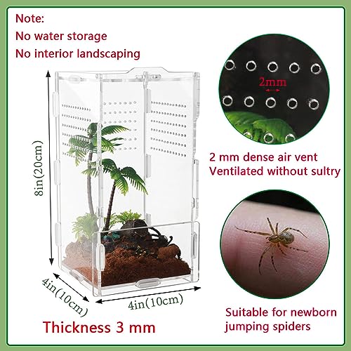 Image of 8x4x4 Inch Modern Rectangular Acrylic & Polycarbonate Vivarium for Tarantulas, Lizards, Snakes, Geckos, Jumping Spiders, Snails, Insects