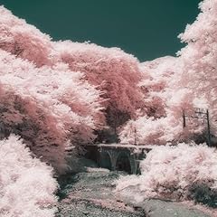 �����񂲂Ƃ� / �V�X���X