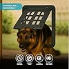 Large Pet Screen Door, 13 x 17 inches, Magnetic Self-Closing Dog Cat Door with 4-Way Entry, Black (Large)