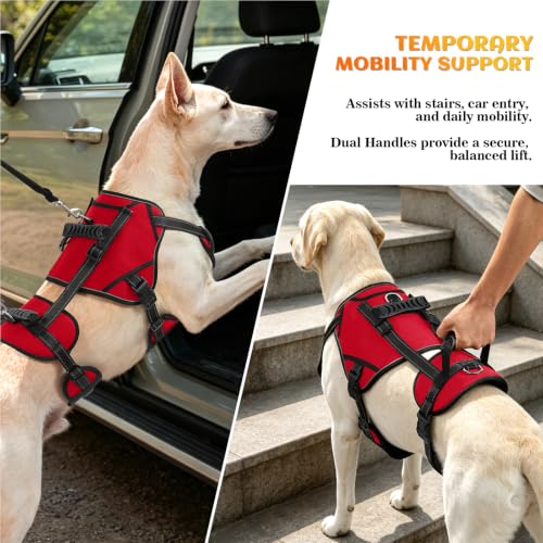 Image of NOYAL Dog Lift Harness, 2-in-1 Support Sling for Senior & Injured Dogs