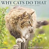Why Cats Do That 2020 Wall Calendar