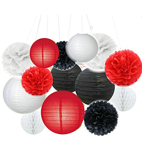 Fascola Tissue Paper Pom Pom Flowers and Paper Lanterns Party Decoration, 14 Pieces