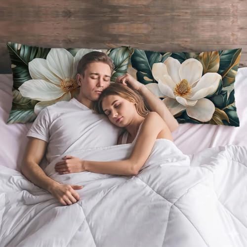 Housse coussin exterieur impermeable fini les coussins mouillés lot de 2 blanc