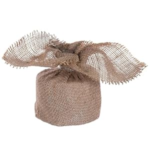 Vickerman 30 Caramel Pine Artificial Christmas Tree Unlit Featuring 684 PVC Tips Pine Cone Accented Seasonal Indoor Home Decor with Decorative Burlap Base