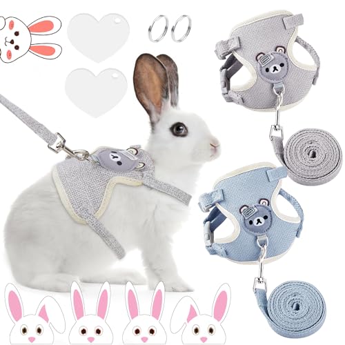 KEWUF Kaninchen Geschirr Mit Leine - Verstellbar Und Ausbruchsicher 120cm