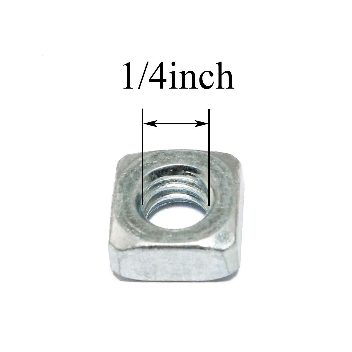 Galvanized Square Nuts - 1/4"-20 (30 Pack) -2