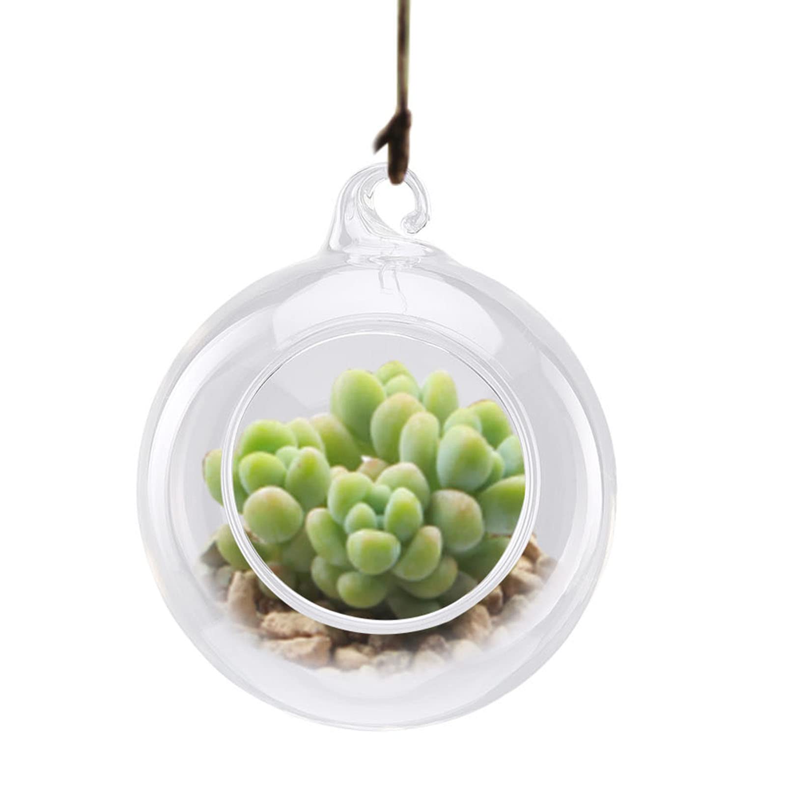 Terrario de Vidrio Colgante Bolas Colgantes de Vidrio Suculentas Macetas con Forma de Globo Las Bolas Colgantes Pueden Colgar Candelabros de Cristal Bolas Transparentes Macetas para Interiores(#1)