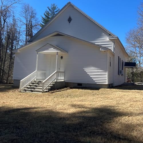 『Paynes Creek Primitive Baptist Church』のカバーアート