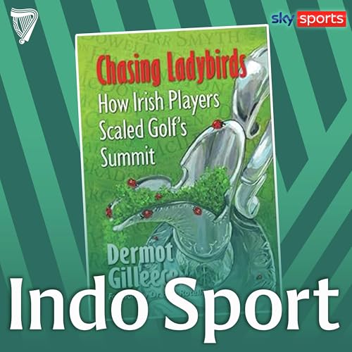 The Open, Harrington&rsquo;s radiance and Irish golf&rsquo;s golden era | Dermot Gilleece