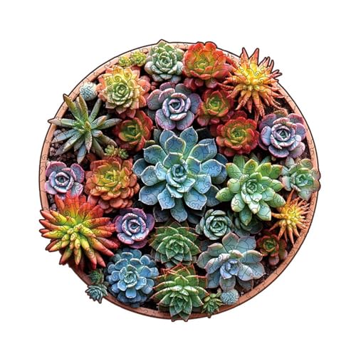 WOLKKAMؐpYAvb^[p^[3D̕sKȌ`̂ (My26×26cmz)