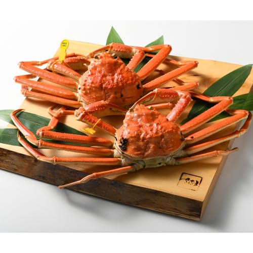 H삳 l䥂ŉzOɁyⓀzԌ̕䌧YYCKjzOIs①ցt (zOIETCYQt^P`QlOR[X)