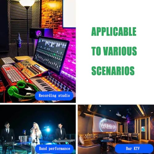 Ecualizador Gráfico Digital de 31 Bandas, Procesador de Audio Digital, EQ Estéreo | Control Dual Canal Sincronizado, Bluetooth 5.4 con Entrada Óptica y Reducción de Ruido, para Estudios de Grabación, Salones KTV y Estudios Musicales miniatura 7