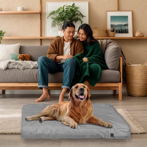 Exquilnova Bezüge für Hundebetten, Ersatz Bezug für Hundebett, Wasserdicht und Abnehmbarer Bezug für Hundekissen mit Reißverschluss für Hundematte Hundematratze Hundesofa, Nur Bezugsdeckel (Grau, M)