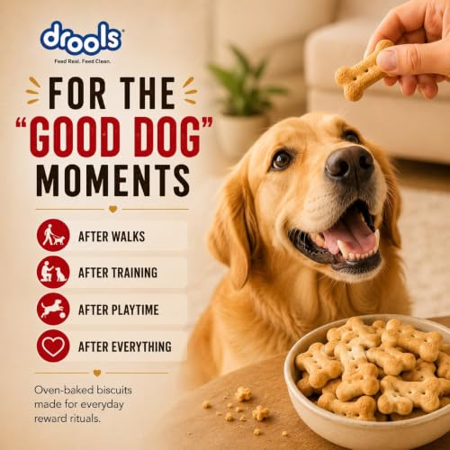 Image of Drools All Life Stages Dog Treat Biscuits 800g Jar | Real Chicken Flavour | All Breed Formula | Promotes Lustrous Skin & Coat | Vitamins & Minerals | Reduces Tartar Build Up