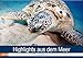 Produktbild Highlights aus dem Meer - Tauchkalender (Wandkalender 2019 DIN A2 quer): Erleben Sie die farbenfrohe fantastische Welt unter Wasser! (Monatskalender, 14 Seiten ) (CALVENDO Tiere)