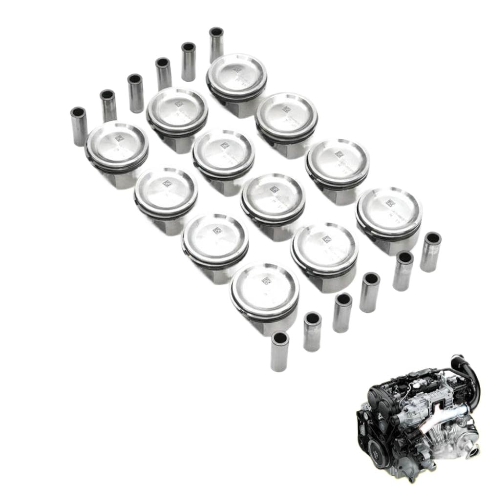 Piston With Rings Set STD Fit 6.0 L Compatible With S650 S680 S65 S65L G65 W221 W222 M275 M277 M279 6.0L V12