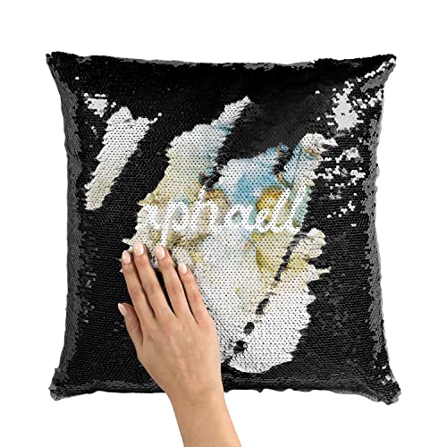 Coussin Sequin Paillettes Noir Raphael Cadeau Idéal Passionné Art