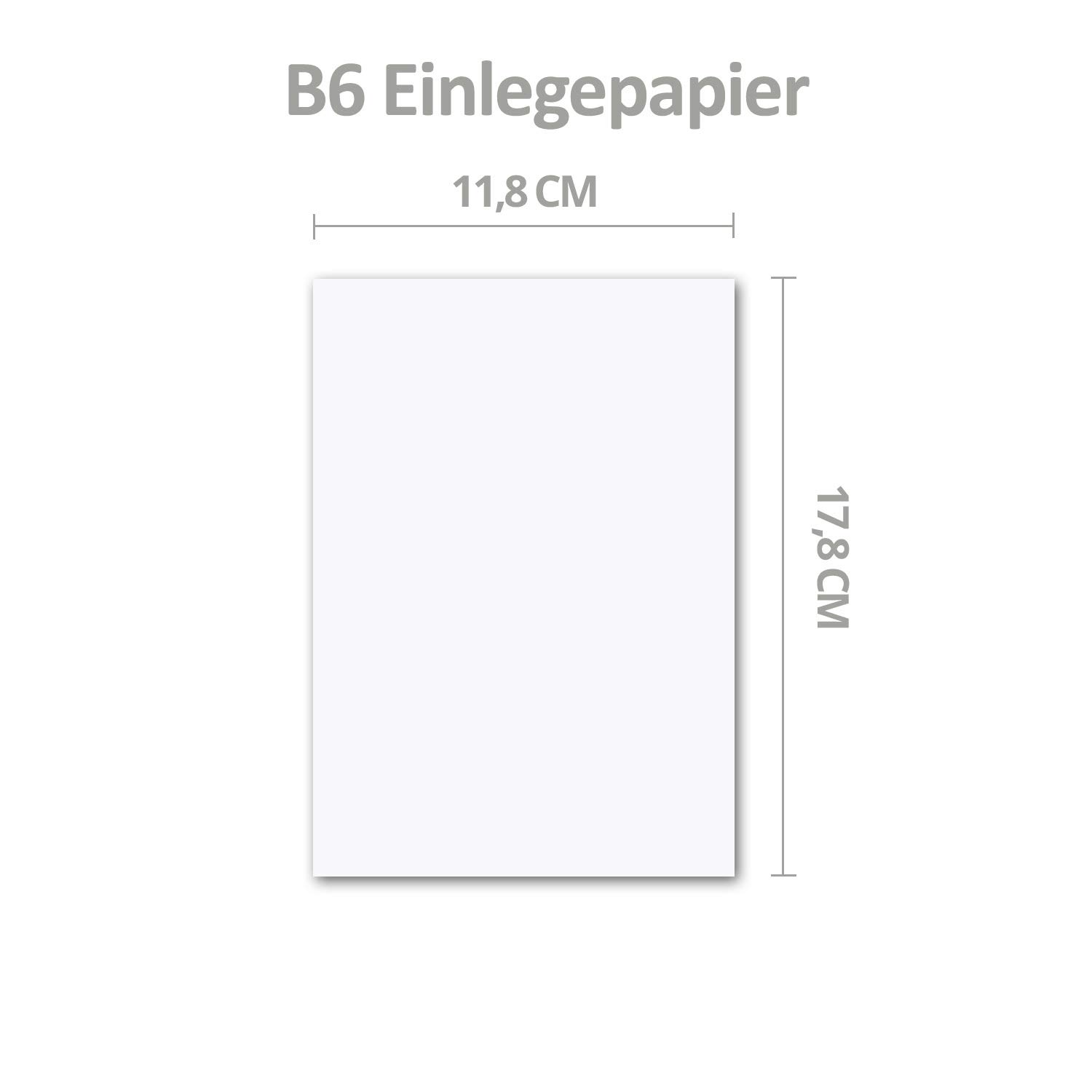 Gustav Neuser Lot de 500 feuilles de papier pour cartes pliables B6 Blanc 118 x 178 mm Sans pli Papier mat de qualité supérieure