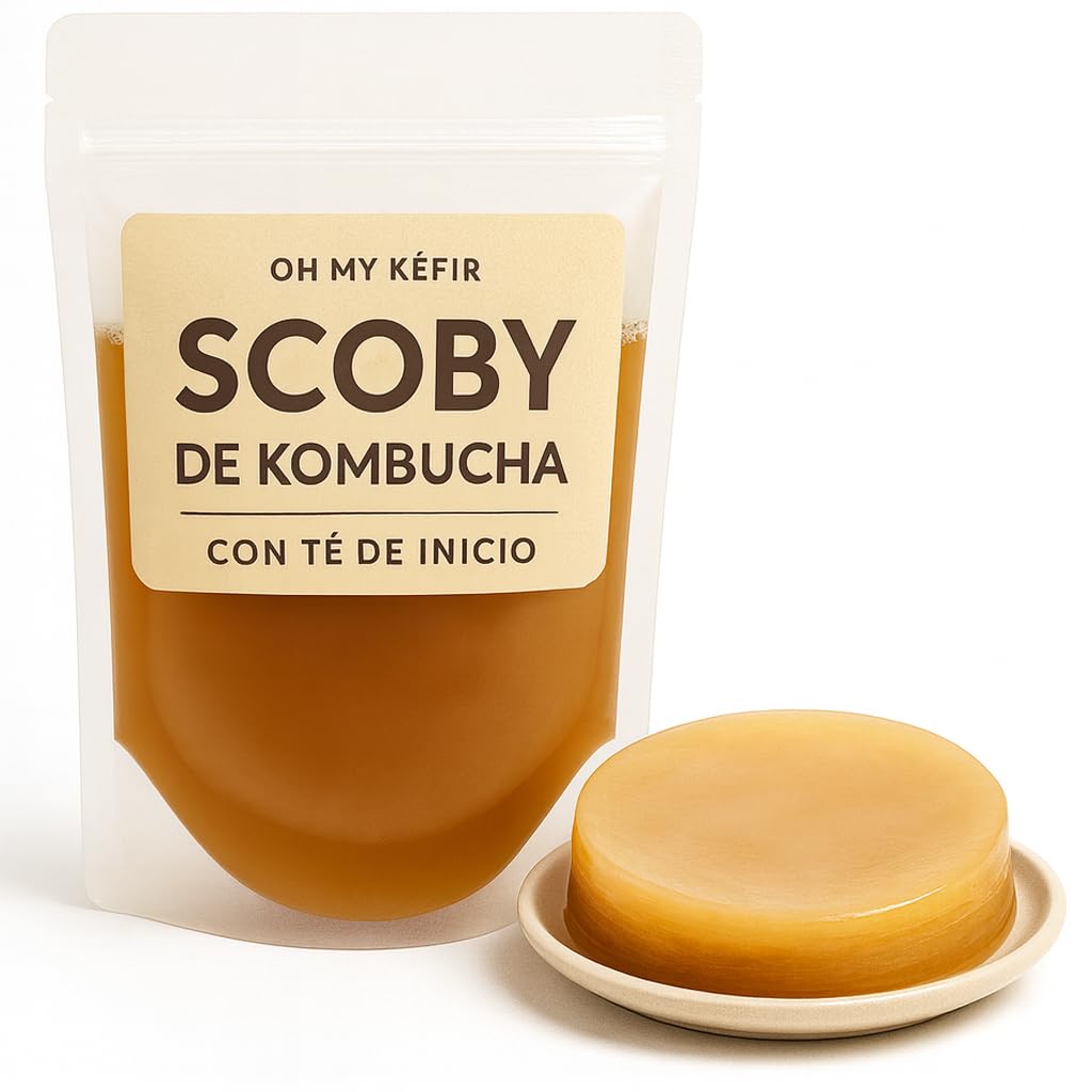 BEBÉ KOMBUCHA FRESCO, SCOBY KOMBUCHA – Elabora Tu Propio Té de Kombucha en Casa con Instrucciones y Recetas en Español – Kit de Fermentación Probiótico Natural, Vegano, Sin Gluten y Sin Lactosa
