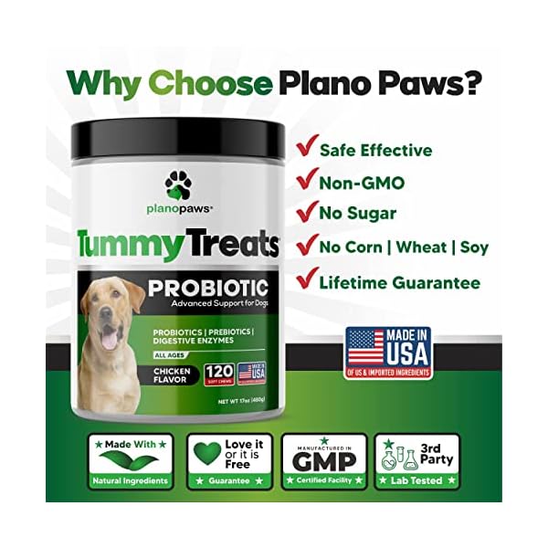 Probiotics for Dogs Digestive Health – Dog Probiotics and Digestive Enzymes – Allergy Relief for Dogs – Probiotic for Dogs Gut Health – Puppy Probiotic Tummy Treats – 120 Dog Probiotic Chews Probiotics for Dogs Digestive Health – Dog Probiotics and Digestive Enzymes – Allergy Relief for Dogs – Probiotic for Dogs Gut Health – Puppy Probiotic Tummy Treats – 120 Dog Probiotic Chews