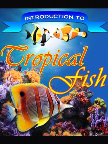 tropical fish for home