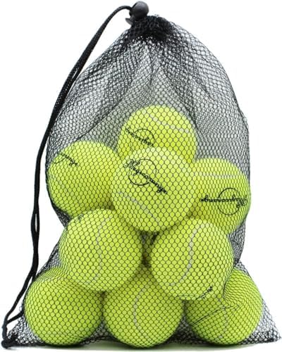 Magicorange Tennis Balls, 12 Pack Tennis Balls for Dogs, Pet Dog Playing Balls, Come with Mesh Bag for Easy Transport, Colorful Easy Catching Pet Dog Balls (Yellow, 2.5 inch)