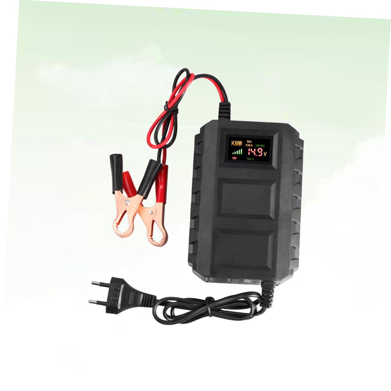 Chargeur de Batterie Automobile 12 V 20 A Noir en Plastique