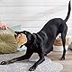 Youngever 6er Pack Große Hundeseilspielzeug Set für Großer Hunde, Welpe Hunde, Welpen Kauspielzeug Zahnen Spielzeug Hund Seil Kauspielzeug für Mittlere bis Große Hunde