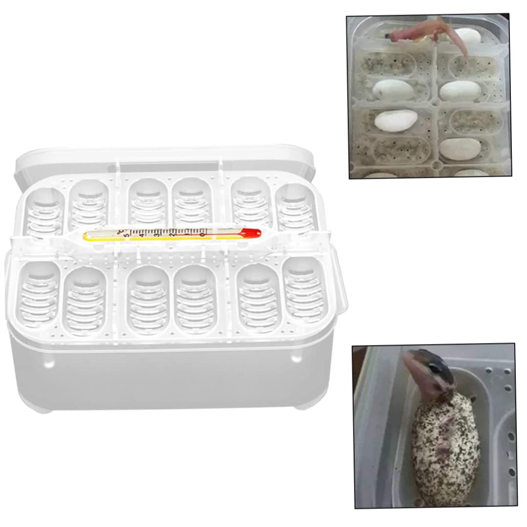 Incubadora de Reptiles, Caja de incubación de Reptiles Reptile Incubator Bandeja de Huevo Bandeja con 12 cuadrículas para Tortuga Gecko Lizards Mane