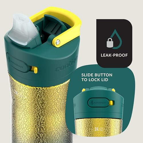 Image of Contigo Ashland Chill Stainless Steel Water Bottle with Leakproof Lid & Straw, Water Bottle with Handle Keeps Drinks Cold for 24hrs & Hot for 6hrs, Great for Travel, School, Work, & More, 24oz