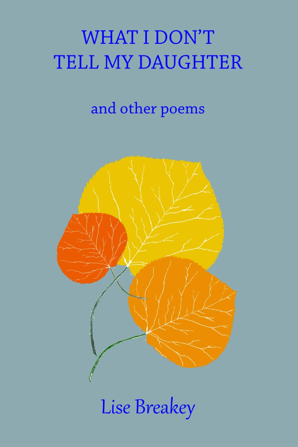 What I Don't Tell My Daughter: and other poems