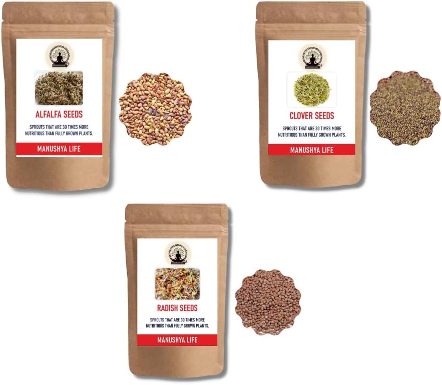 Manushya Life | Combo Pack of 3 Variety Sprouting Seeds | Alfalfa, Radish, Clover Seeds | Seeds for Sprouting | Satvic Lifestyle | 3 x 250 Grams