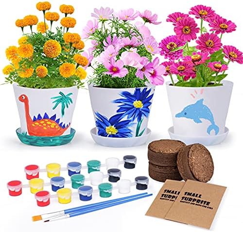 Paint & Plant Flower Planting Growing Kit - Kids Educational Gardening Birthday Toys -Crafts for Girls & Boys - STEM Art & Handicraft Project Activities, Marigold, Zinnia , Cosmos