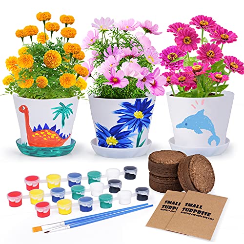 Paint & Plant Flower Planting Growing Kit - Kids Educational Gardening Birthday Toys -Crafts For Girls & Boys - Stem Art & Handicraft Project Activities, Marigold, Zinnia , Cosmos #TOP1