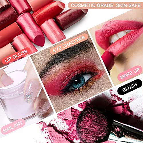 Mica Powder 24 Color 10G Each Pack, Pigment Powder Set For Painting, Nail Polish, Fine Arts, Lip Gloss, Makeup, Bath Bomb, Handmade Soap Making And Epoxy Resin #TOP3